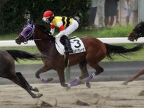 ����å��ǳ��������ɽ�����ޤ�