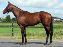 ����å��ǳ��������ɽ�����ޤ�