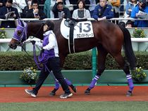 ����å��ǳ��������ɽ�����ޤ�