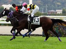 ����å��ǳ��������ɽ�����ޤ�