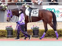 ����å��ǳ��������ɽ�����ޤ�