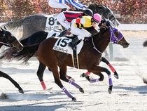 ����å��ǳ��������ɽ�����ޤ�