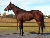 ����å��ǳ��������ɽ�����ޤ�