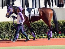 ����å��ǳ��������ɽ�����ޤ�