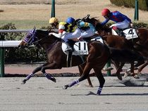 ����å��ǳ��������ɽ�����ޤ�