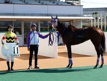 ����å��ǳ��������ɽ�����ޤ�