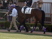 ����å��ǳ��������ɽ�����ޤ�