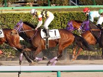 ����å��ǳ��������ɽ�����ޤ�