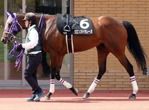 ����å��ǳ��������ɽ�����ޤ�