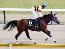 ����å��ǳ��������ɽ�����ޤ�