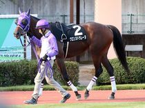 ����å��ǳ��������ɽ�����ޤ�