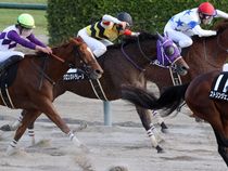 ����å��ǳ��������ɽ�����ޤ�