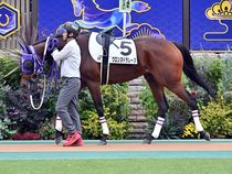 ����å��ǳ��������ɽ�����ޤ�