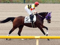 ����å��ǳ��������ɽ�����ޤ�