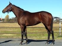 ����å��ǳ��������ɽ�����ޤ�