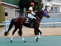 ����å��ǳ��������ɽ�����ޤ�