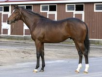 ����å��ǳ��������ɽ�����ޤ�