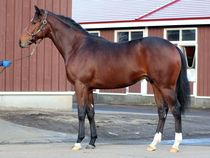 ����å��ǳ��������ɽ�����ޤ�