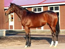 ����å��ǳ��������ɽ�����ޤ�