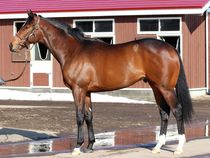 ����å��ǳ��������ɽ�����ޤ�