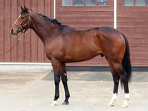 ����å��ǳ��������ɽ�����ޤ�