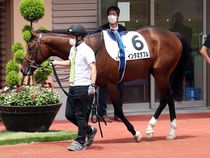 ����å��ǳ��������ɽ�����ޤ�