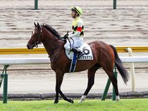 ����å��ǳ��������ɽ�����ޤ�