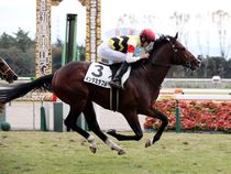 ����å��ǳ��������ɽ�����ޤ�