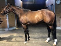 ����å��ǳ��������ɽ�����ޤ�