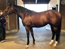 ����å��ǳ��������ɽ�����ޤ�