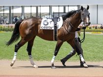 ����å��ǳ��������ɽ�����ޤ�