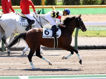 ����å��ǳ��������ɽ�����ޤ�