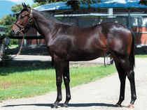 ����å��ǳ��������ɽ�����ޤ�