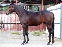 ����å��ǳ��������ɽ�����ޤ�