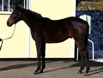 ����å��ǳ��������ɽ�����ޤ�