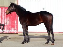 ����å��ǳ��������ɽ�����ޤ�