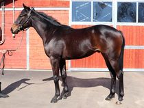 ����å��ǳ��������ɽ�����ޤ�