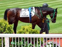 ����å��ǳ��������ɽ�����ޤ�