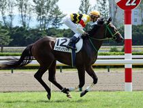 ����å��ǳ��������ɽ�����ޤ�