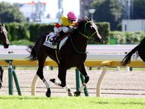 ����å��ǳ��������ɽ�����ޤ�