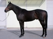 ����å��ǳ��������ɽ�����ޤ�