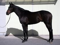 ����å��ǳ��������ɽ�����ޤ�