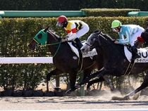 ����å��ǳ��������ɽ�����ޤ�