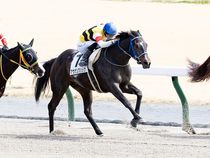 ����å��ǳ��������ɽ�����ޤ�