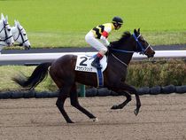 ����å��ǳ��������ɽ�����ޤ�