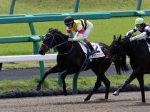 ����å��ǳ��������ɽ�����ޤ�