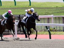 ����å��ǳ��������ɽ�����ޤ�