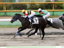 ����å��ǳ��������ɽ�����ޤ�