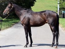 ����å��ǳ��������ɽ�����ޤ�