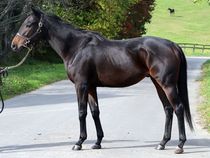 ����å��ǳ��������ɽ�����ޤ�